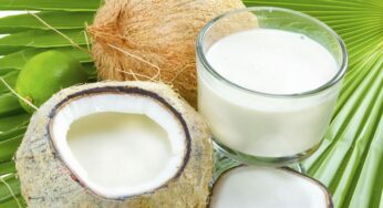 Le lait de coco : quels sont ses bienfaits pour vos cheveux ?