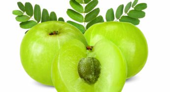 Amla : ce fruit méconnu aux bienfaits miraculeux pour vos cheveux et votre peau