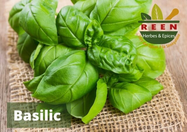reen herbes epices basilic