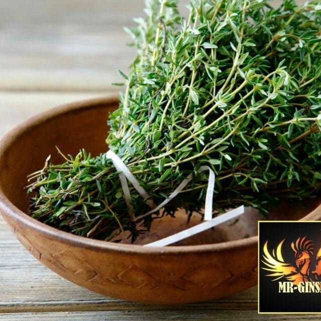 les maladies d'hiver les maladies d'hiver