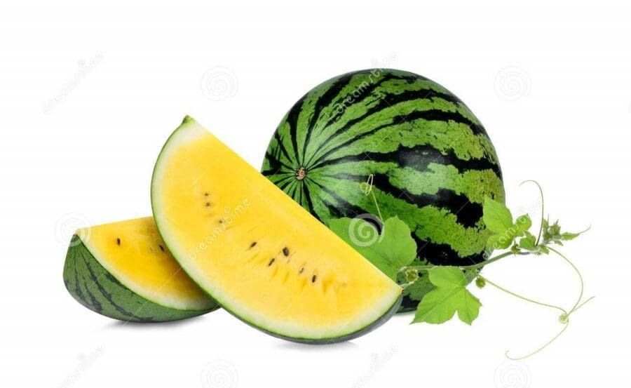 Pastèque jaune