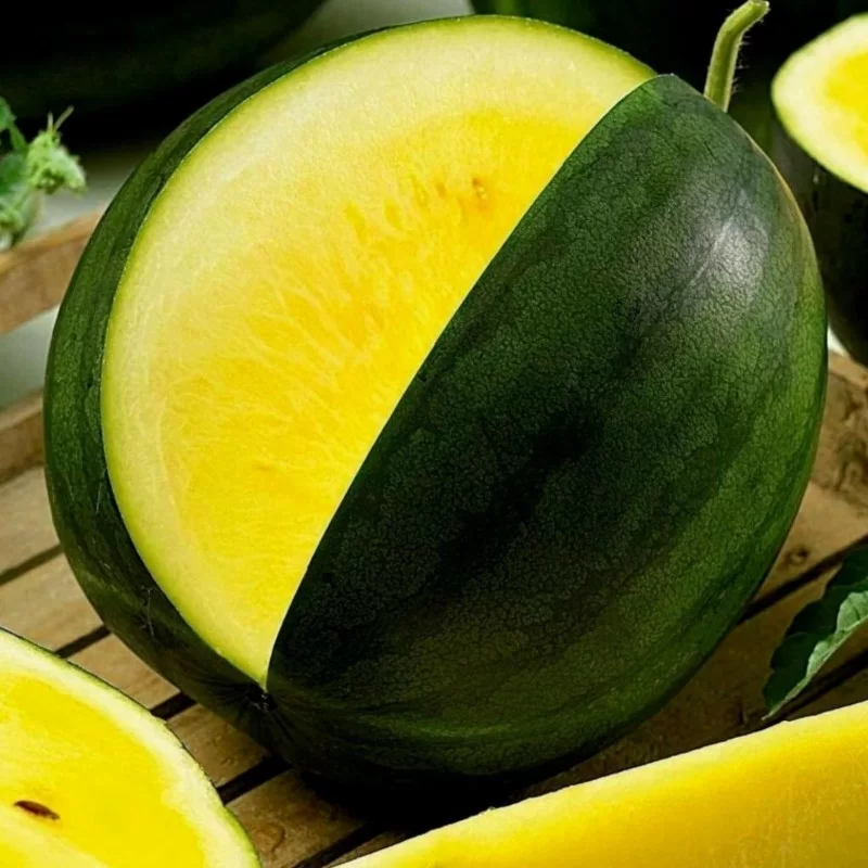 Pastèque jaune