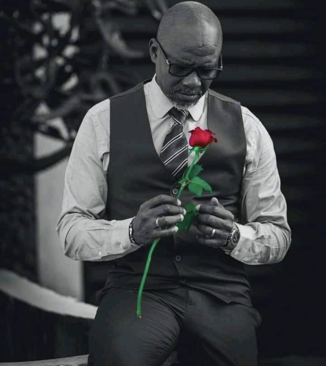 Paul Gradel serie impact marodi